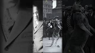 Part 55 - Crazy Historical Photos you Won't See Anywhere else. #history