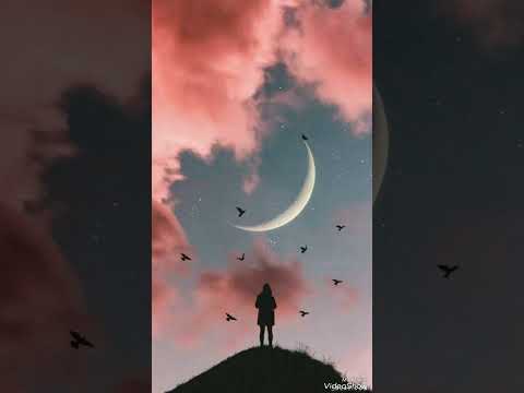 Bihara Min Hat Bradar