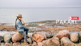 Pakari -Instrumental Native music