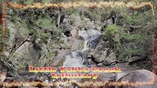 Little Yabba Creek tributary Borumba