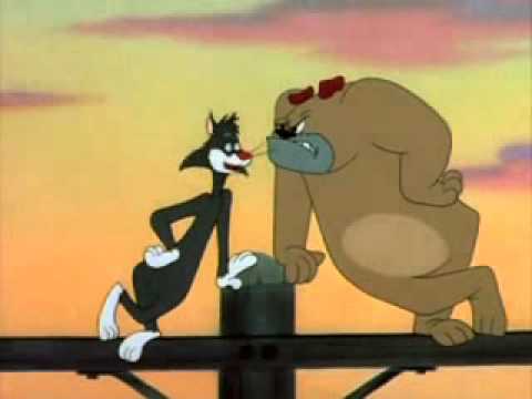 Tex Avery Ventriloquist Cat Youtube Tex Avery Ventriloquist Cat Youtube