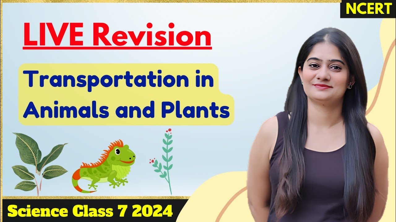Live Revision | Transportation in Animals and Plants | Class 7 Science ...