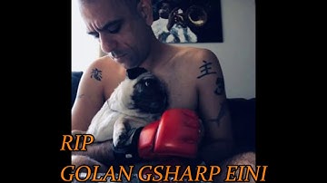 GOLAN GSHARP TRIBUTE COLLAB PART 2