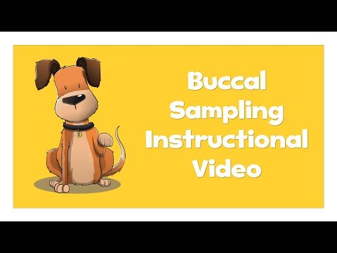 How to take a buccal sample from your dog - Generation Pup Instructional Video