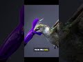 Animals See Time in SLOW MO! 5 Shocking Proofs