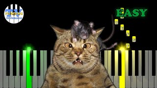 Hickory Ory Dock Piano Tutorial - Easy 4K Midi Visualizer