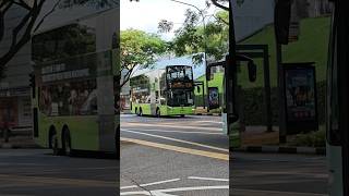 SG6132B S36 with Call 1771 ad departing Haw Par Villa for Harbourfront #mantruckandbus #ccl6 #mana95