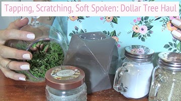 ASMR * Theme: Dollar Tree Haul * Tapping & Scratching * Fast Tapping * Soft Spoken * ASMRVilla