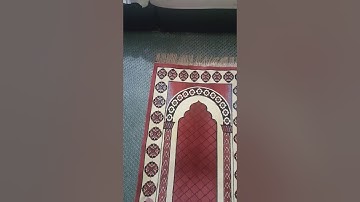 قراءة من صلاة التهجد ليلة(٢٩)من سورة الإسراء؛رمضان سنة(١٤٤١)؛همام عادل شاهين