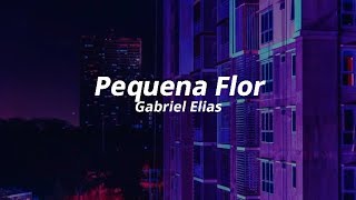 Gabriel Elias - Pequena Flor (Lyrics)