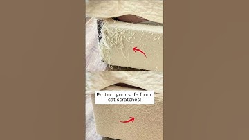 Save Your Sofa with This Simple Cat Scratch Protector!