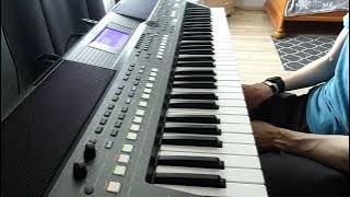 Kis Lech Stawski Biała mewa  Yamaha psr s670