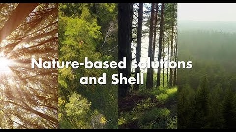 Nature-based solutions and Shell | New Energies