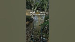 story wa mancing #hobimancing #mancing #shorts #shortvideo #trending