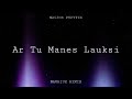 Naujos pupytes  ar tu manes lauksi  nauriux remix 