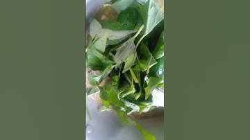 sweet potato leaves #soup #satisfying #shortvideo