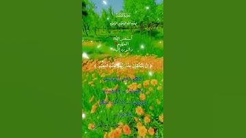 تلاوة خاشعة عطرة مباركة جميلة عذبة للشيخ ماهر المعيقلي ماتيسر من سورة القلم