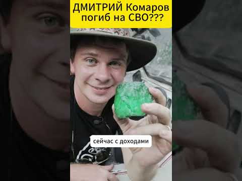 Дмитрий Комаров погиб на СВО? Что произошло с ведущим Дмитрием  Комаровым