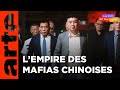 Naissance dune pieuvre  triades  la mafia chinoise  la conqute du monde 13  arte