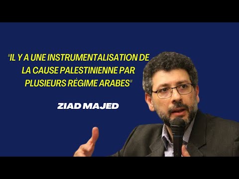 Palestine - plusieurs pays arabes instrumentalisent la cause Palestinienne selon Ziad Majed