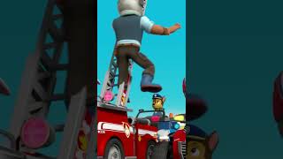 Pups Save Travis and the Big Bad Bird Crew! | #Shorts #PAWPatrol