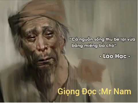 Video Lão Hạc - Truyện Ngắn Nam Cao, PVNRadio???? - youtube