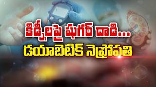 Diabetes Attacking The Kidneys... Understanding Diabetic Nephropathy | Sukhibhava