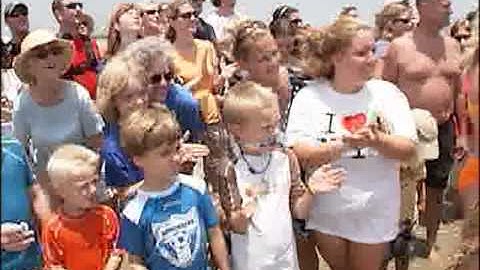 Turtle Release on Jekyll Island