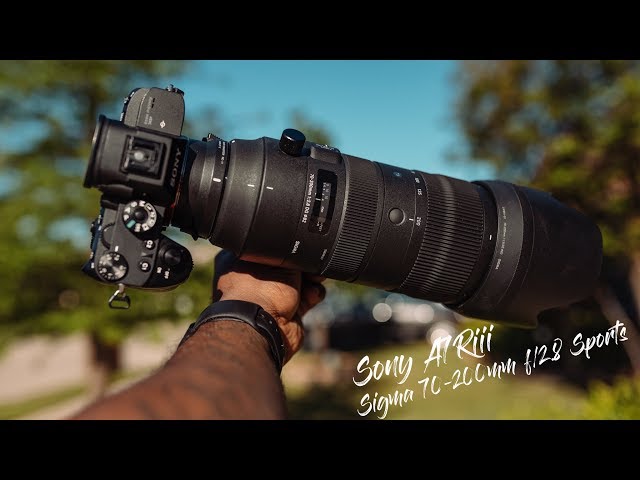 Using The Sigma 70 200mm f:2 8 sports with the Sony A7riii 