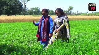 Dhola Manawana He By Aamir Shaikh