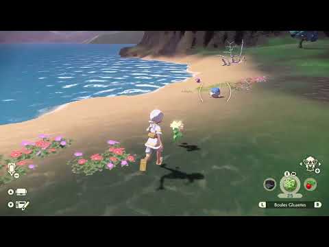 LPA : Obalie