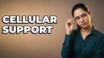 How Do Collagen, Elastin, Proteoglycans Support ECM Structure?