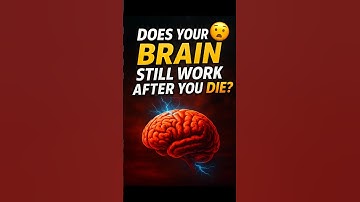 🧠 "What Happens to Your Brain After Death?"⚡  #curiosities #didyouknow #viral #shorts #flashfactslab