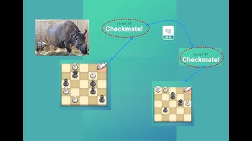 Pocket Chess Rhino Event Level 28 to 47 #pocketchess #matein4 #rhyno - Beginner chess problems