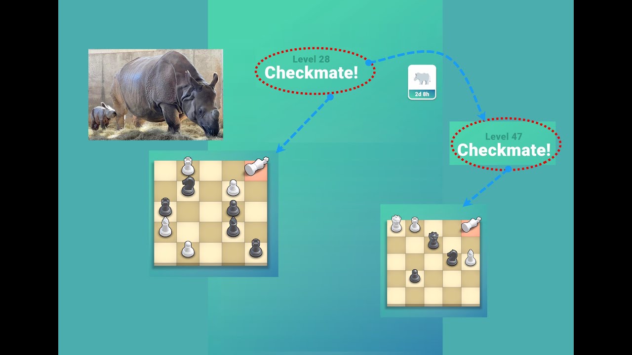 Pocket Chess Rhino Event Level 28 to 47 pocketchess matein4 rhyno
