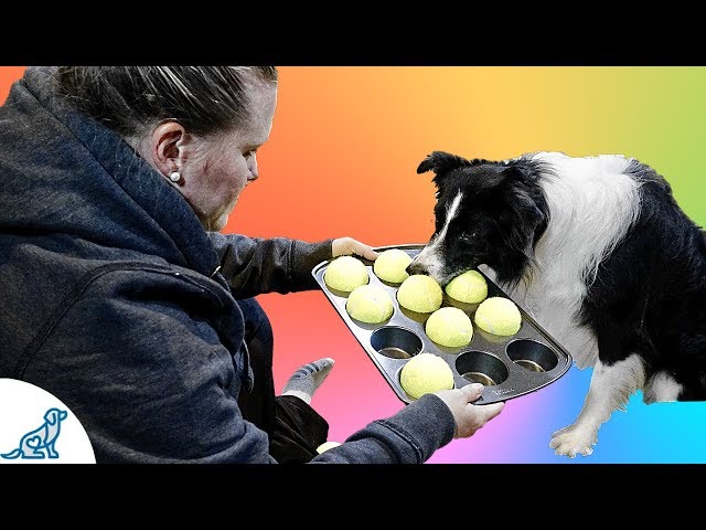 Trainer Recommends: Food Puzzle Popsicles (A How To Guide) - Smiles Dog  Training