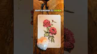 Vertraue dem Fluss – alles fügt sich für dich - Botschaft der Pfingstrose ✨❤️✨