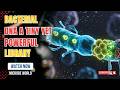 Decoding Microbial DNA The Key to Future Technology Full Guide