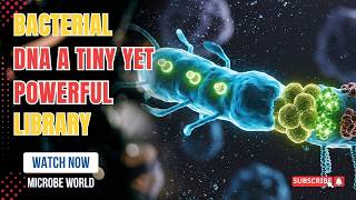 Decoding Microbial DNA The Key to Future Technology Full Guide