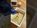 ペヤング たらこやきそば #毎日カップ麺 #shorts