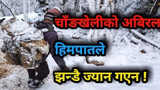 अबिरल हिमपातका कारण झन्डै ज्यान गएन।snow a lot in humla