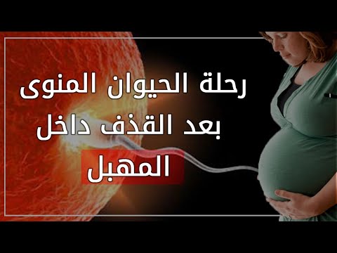كيف يحدث الحمل بالتفصيل والصور