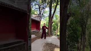 Tai Chi Fundamentals Hand Rotations
