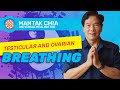 Testicular and Ovarian Breathing by Mantak Chia
