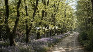 a beautiful spring morning walk 🌸 | classical piano for calm & focus screenshot 3