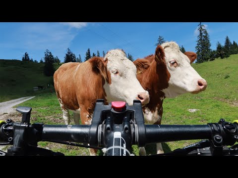 Video: 20 Nenaudinga Kelionių įranga - „Matador“tinklas