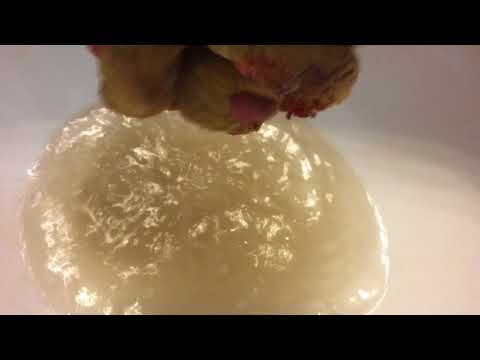 toilet-leaking-through-ceiling.