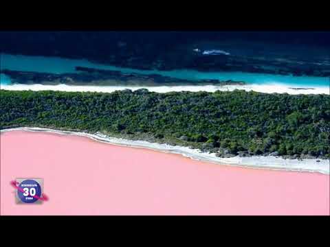 ავსტრალიის ვარდისფერი საოცრება