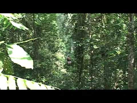 Rios Tropicales Canopy Zipline in Costa Rica