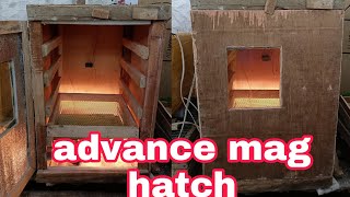 ANG SUKAT NG D.I.Y. INCUBATOR NA ADVANCE MAG HATCH  AT HALOS LAHAT AY MAHATCH: